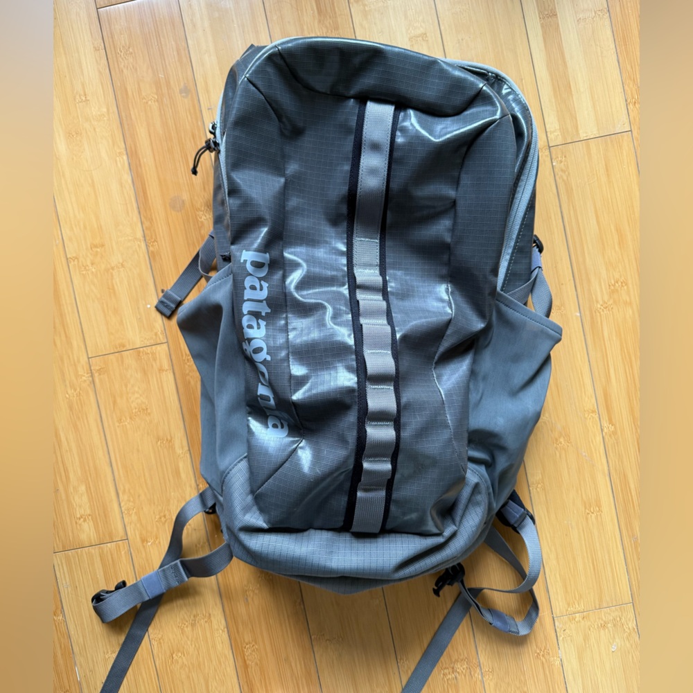 Patagonia Black Hole Backpack - Rare color